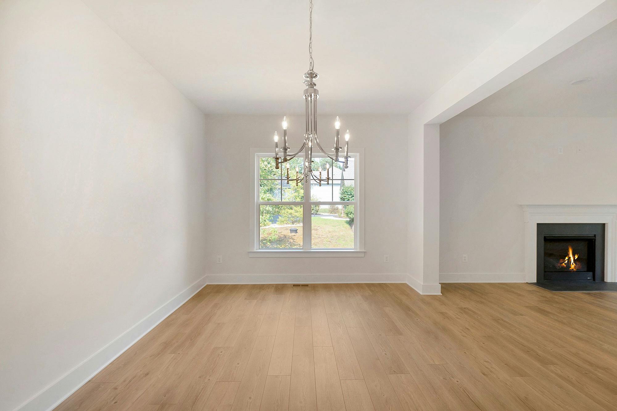 Photo Gallery Image 15