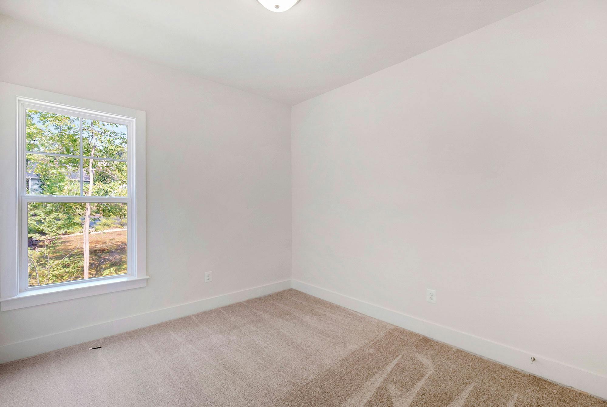 Photo Gallery Image 12