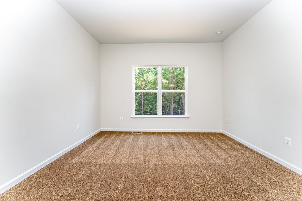 Photo Gallery Image 10