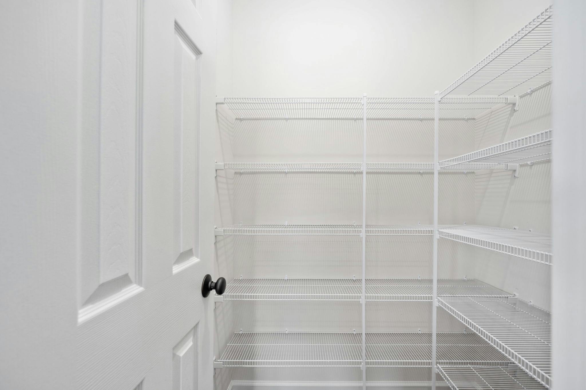 Photo Gallery Image 49