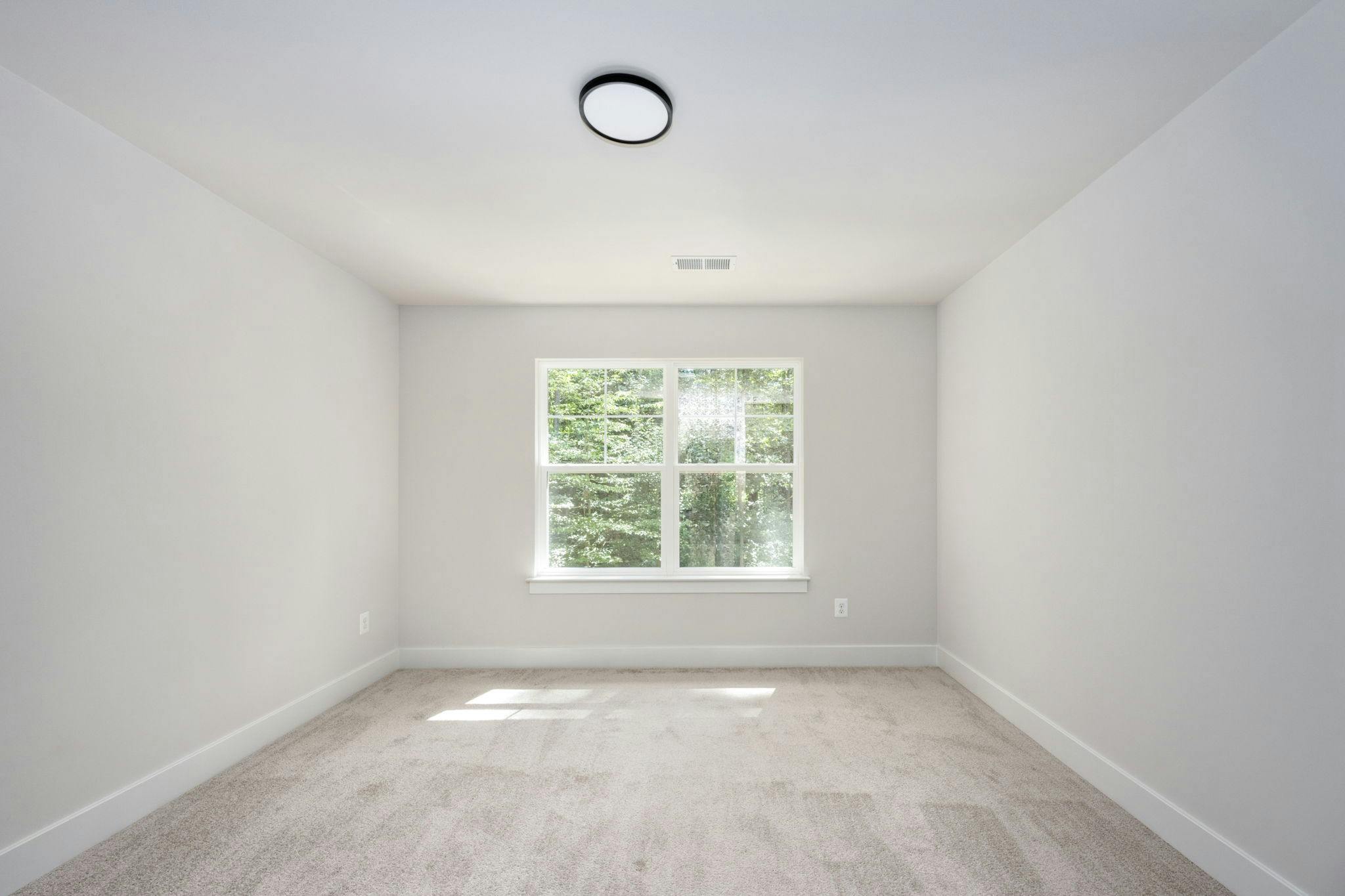 Photo Gallery Image 8